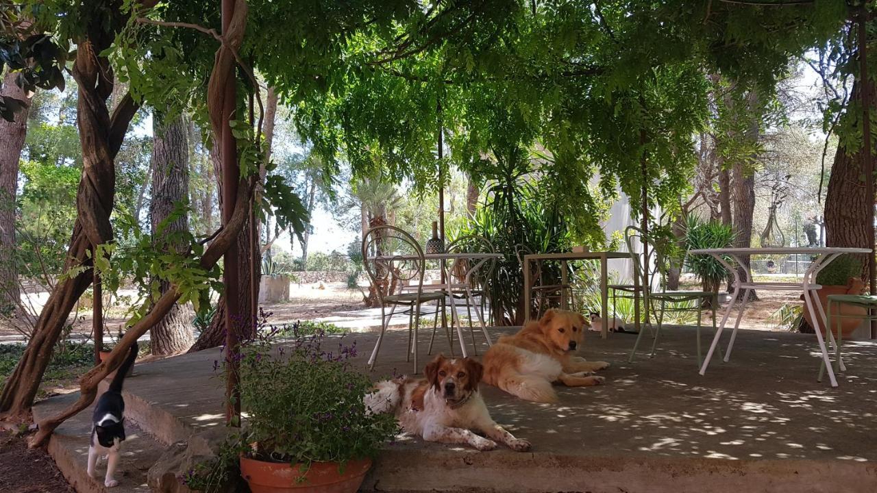 Petra - Country House Monteroni di Lecce Bagian luar foto