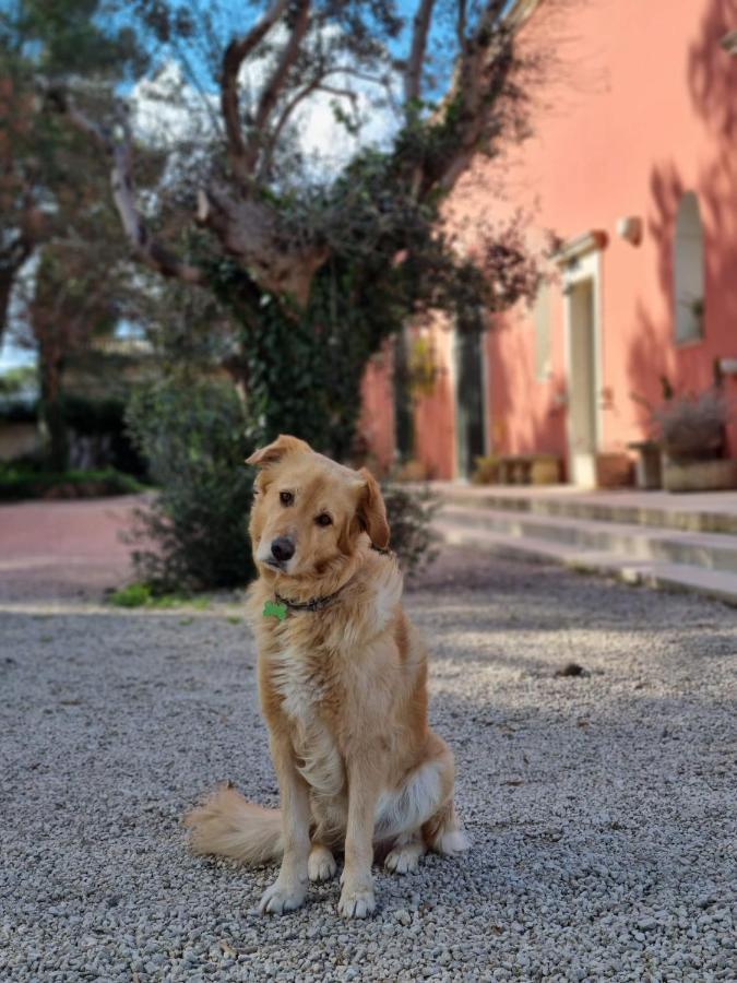 Petra - Country House Monteroni di Lecce Bagian luar foto